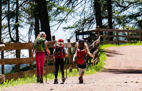 Kolonie i Obozy w Bieszczadach Lesko 2024